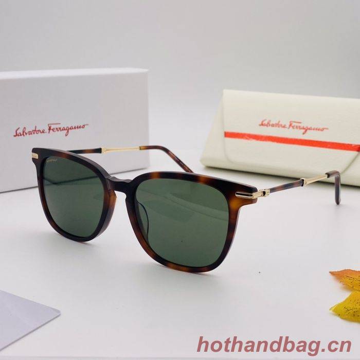Salvatore Ferragamo Sunglasses Top Quality SFS00058
